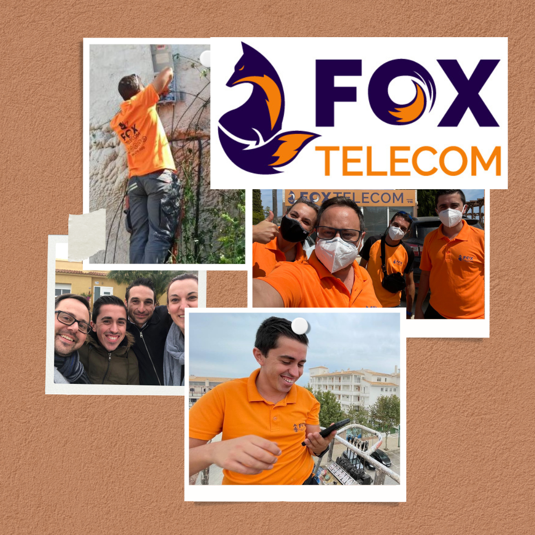 fox 3.png fox 3.png