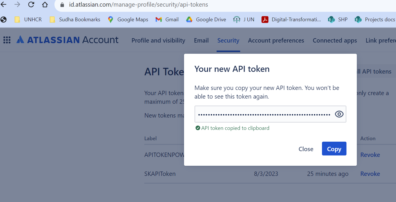 API token screen shot.png API token screen shot.png
