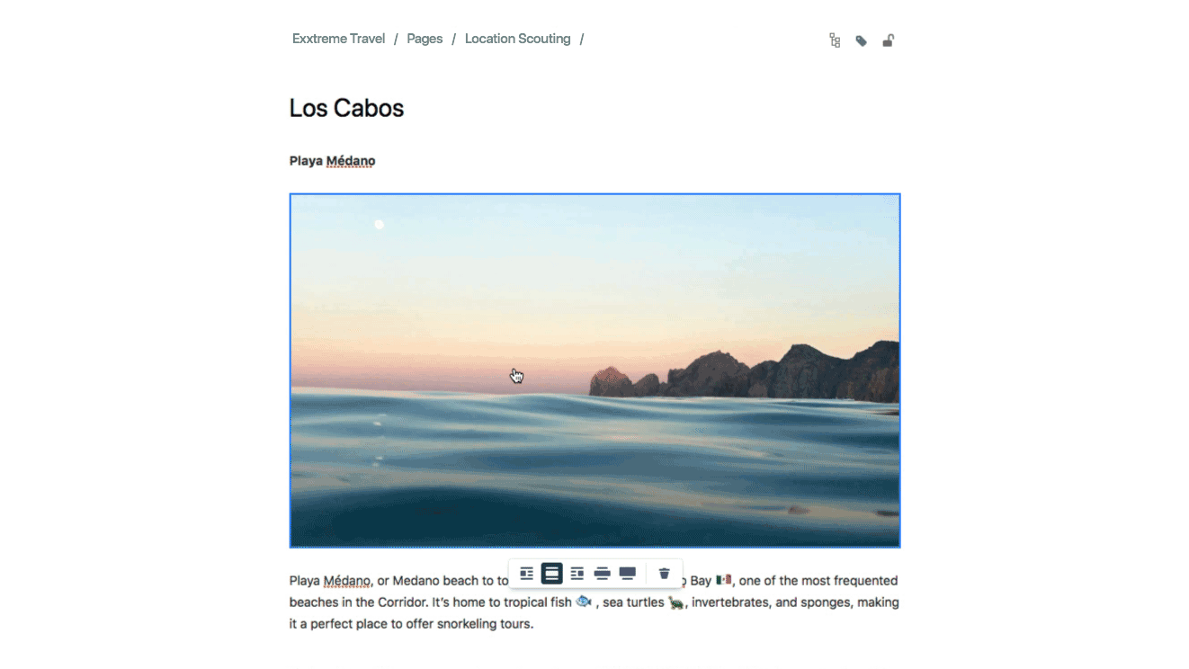 confluence-editor-image.gif confluence-editor-image.gif