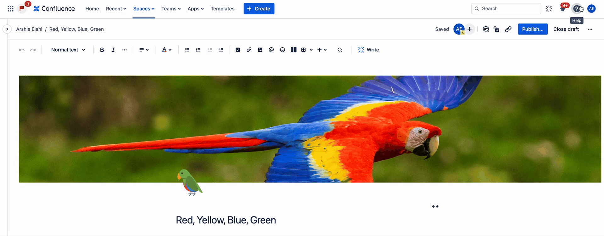 Pretty-Parrot.gif Pretty-Parrot.gif