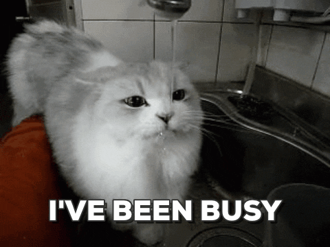 giphy (32).gif giphy (32).gif