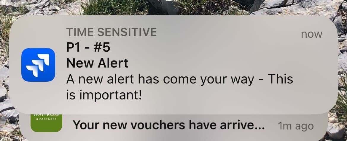 File.jpg File.jpg