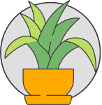 Path of Trees - plant a.png Path of Trees - plant a.png