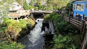 Ketchikan Salmon Run at Creek Street.jpg Ketchikan Salmon Run at Creek Street.jpg