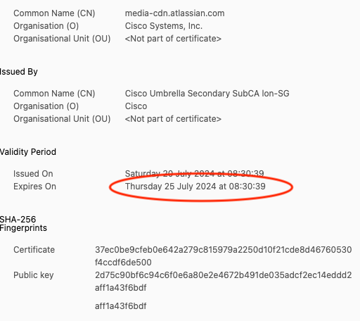 expire-chrome.png expire-chrome.png