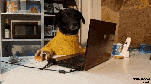 giphy-_2_ (1).gif giphy-_2_ (1).gif