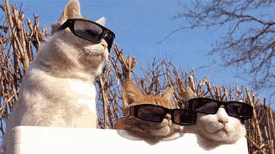 TRT.gif TRT.gif