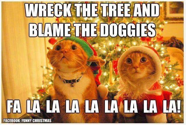 the-dogs-did-it.jpg the-dogs-did-it.jpg