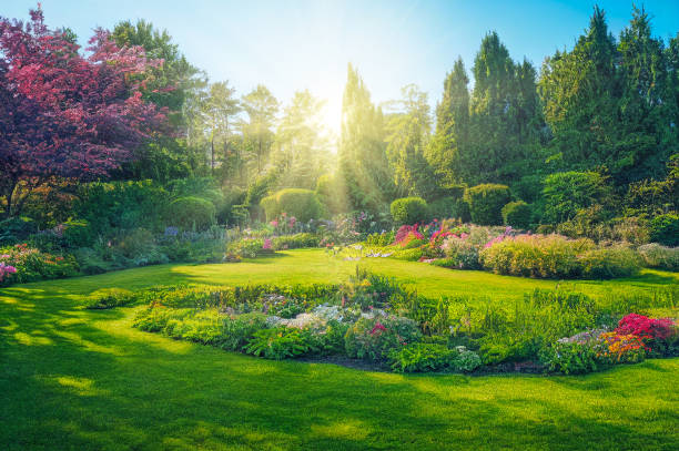 garden.jpg garden.jpg