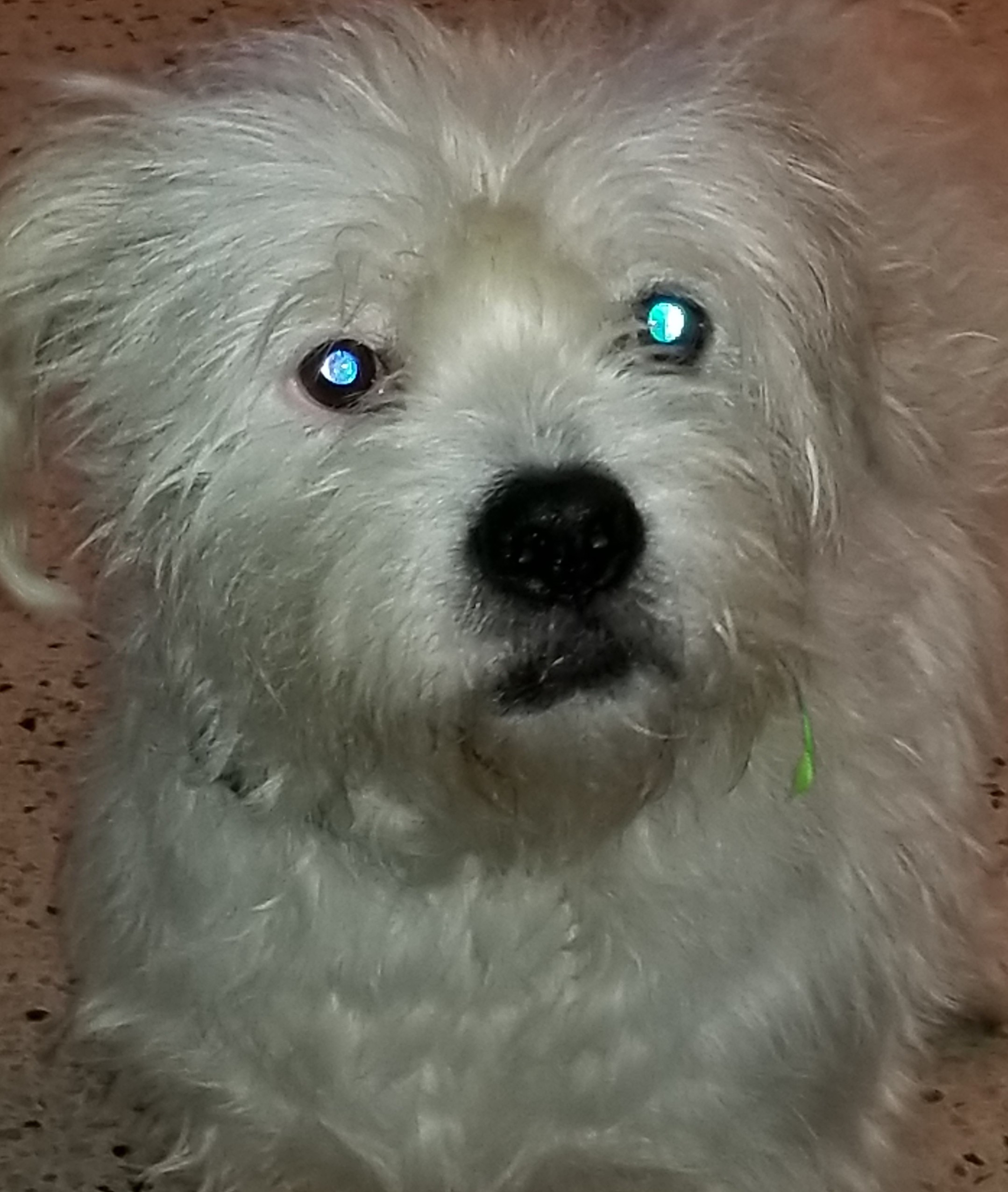 Teddy2!!.jpg Teddy2!!.jpg