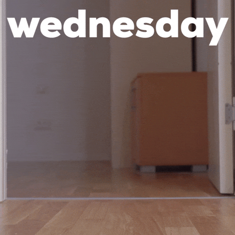 giphy.gif giphy.gif