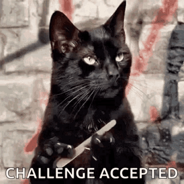 waiting-cat-filing-nail.gif waiting-cat-filing-nail.gif