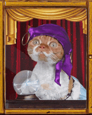cat-devon-rex-fortune-teller-crystal-ball-gypsy-cute-future-mystical.gif cat-devon-rex-fortune-teller-crystal-ball-gypsy-cute-future-mystical.gif