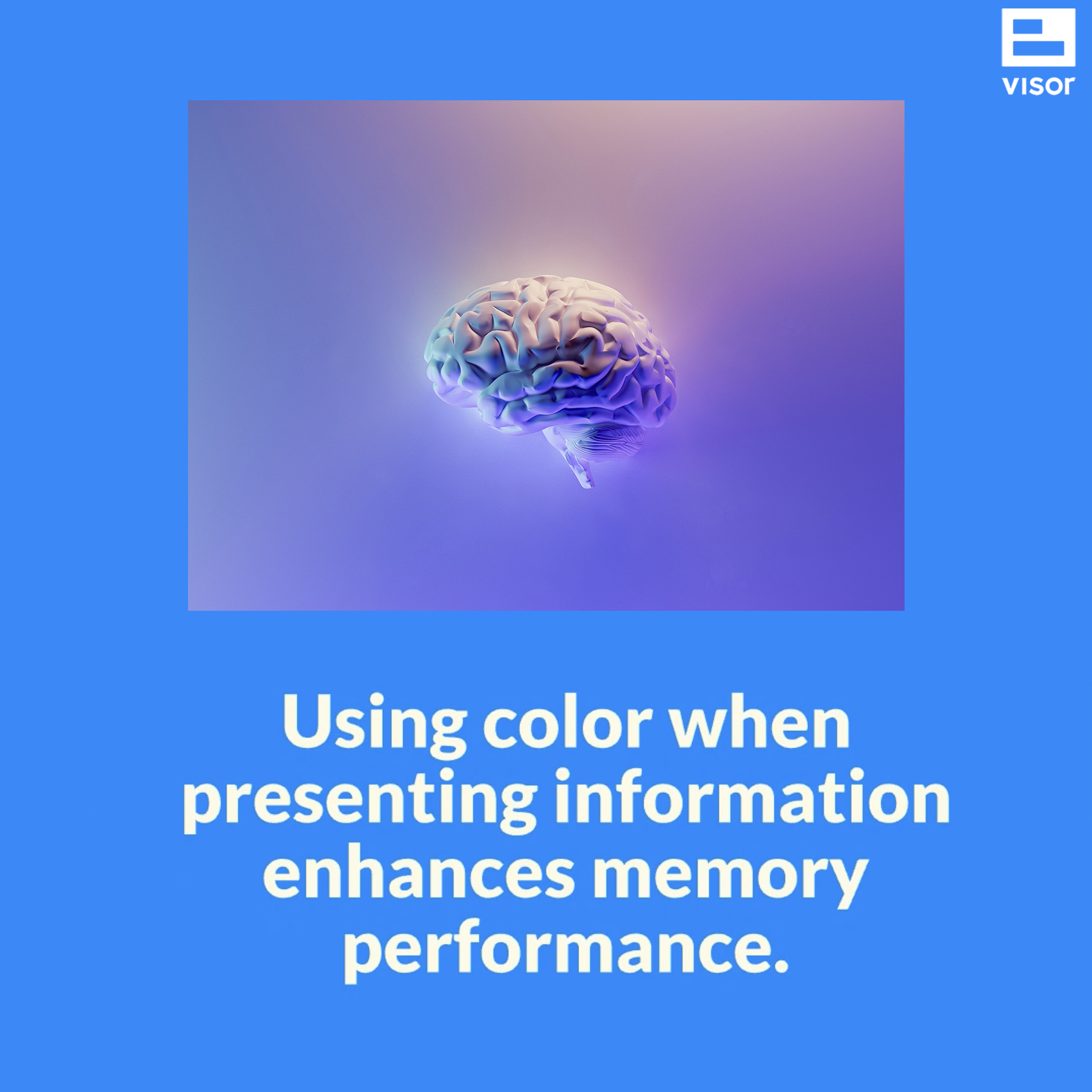 07-BrainColor.png 07-BrainColor.png