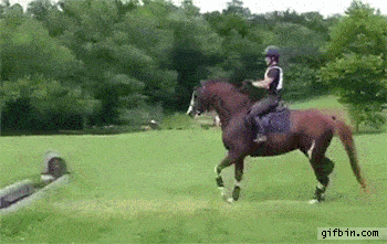 Hesitate1.gif Hesitate1.gif