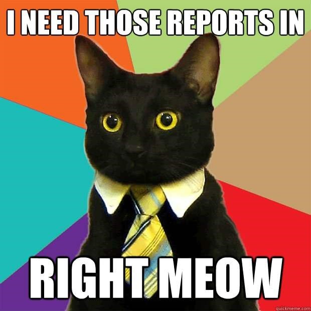cat-need-those-reports-right-meow-quickmemecom.jpg cat-need-those-reports-right-meow-quickmemecom.jpg