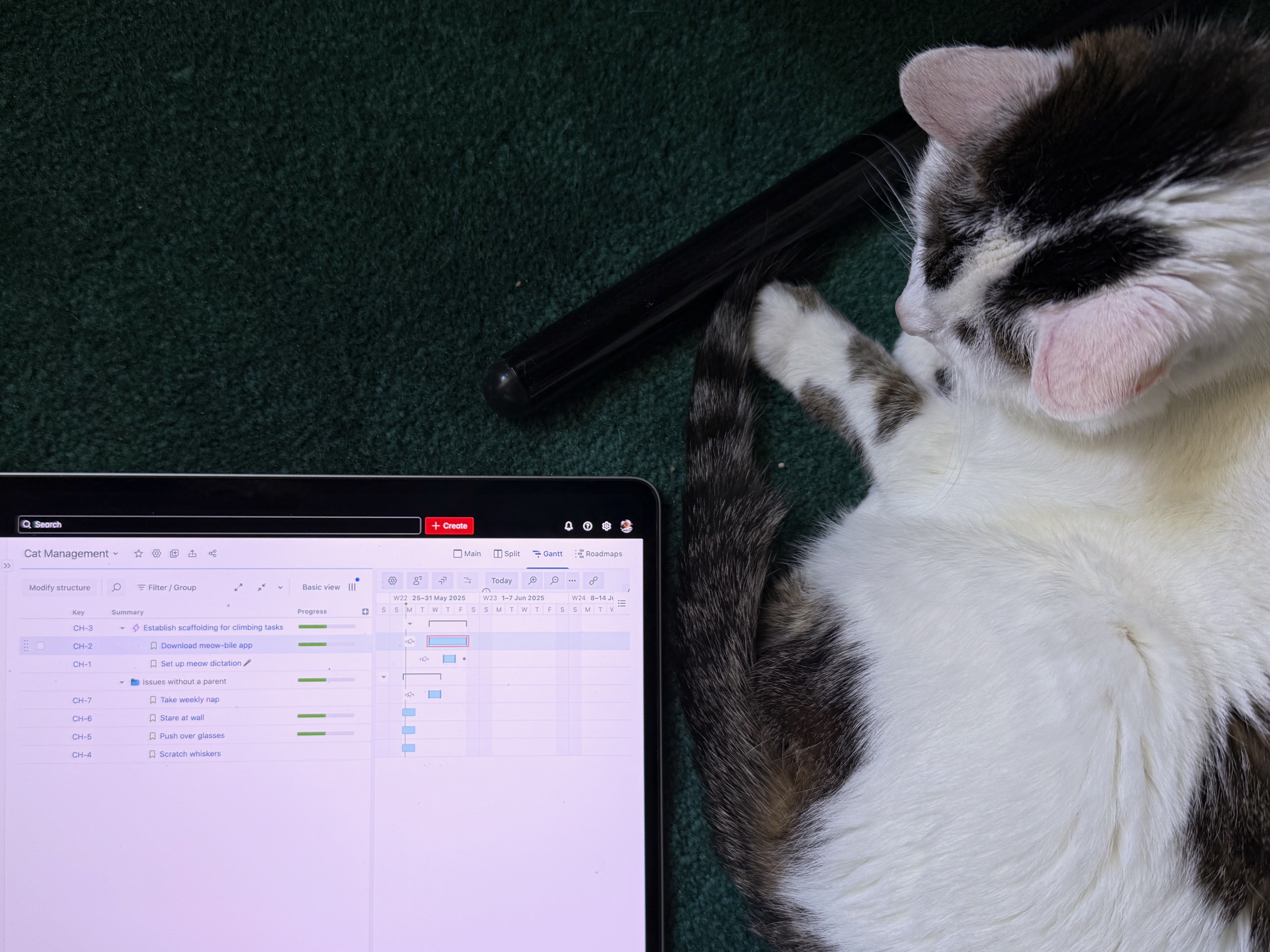 meow-planner.jpeg meow-planner.jpeg