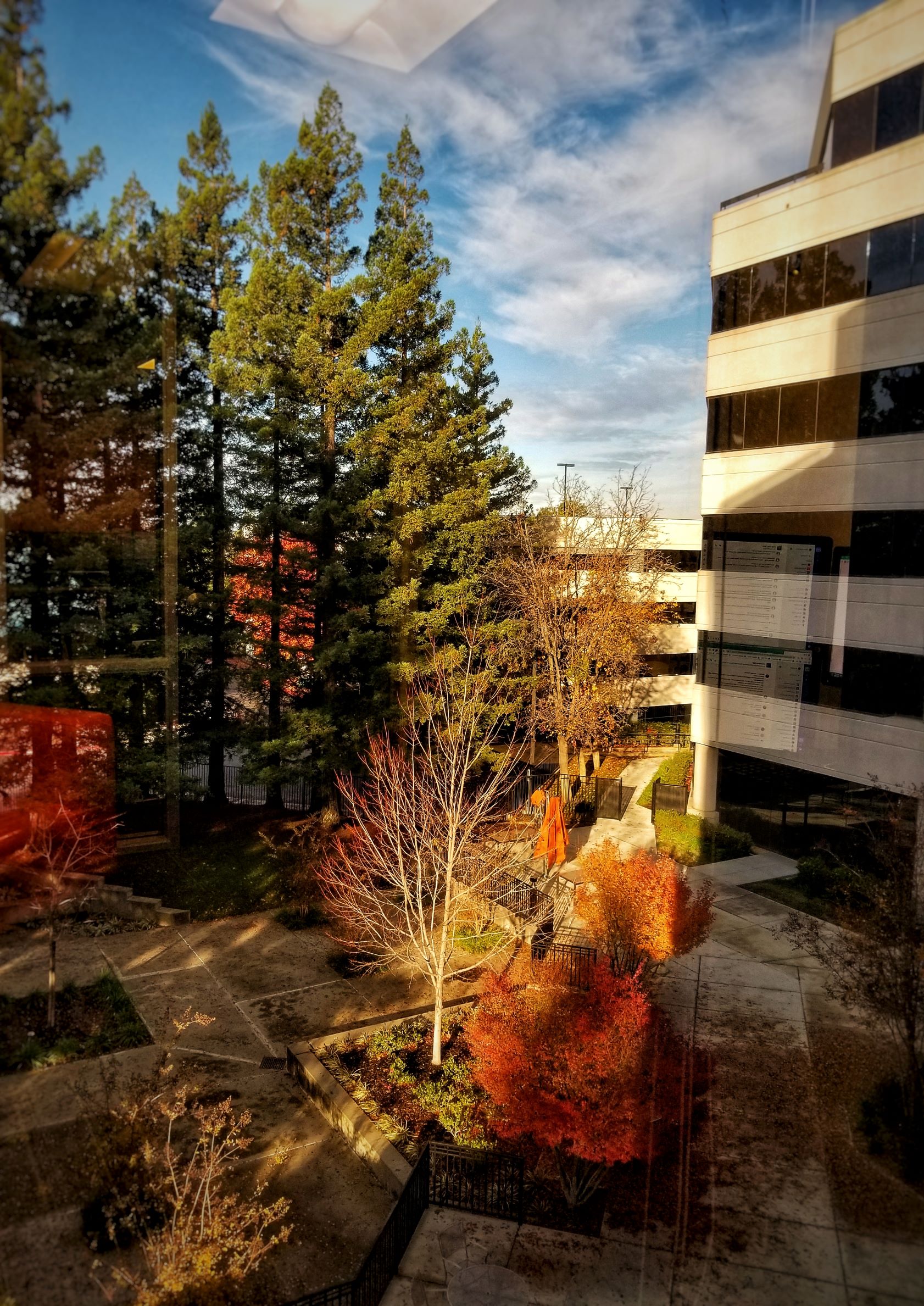 20181203_084925-01.jpeg 20181203_084925-01.jpeg