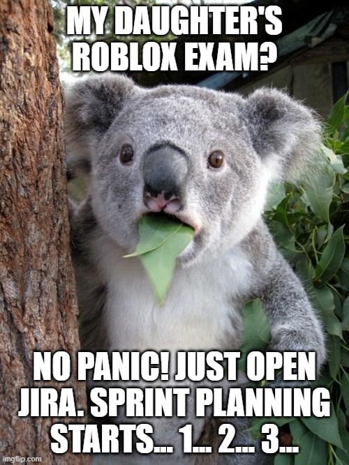 koala.jpg koala.jpg