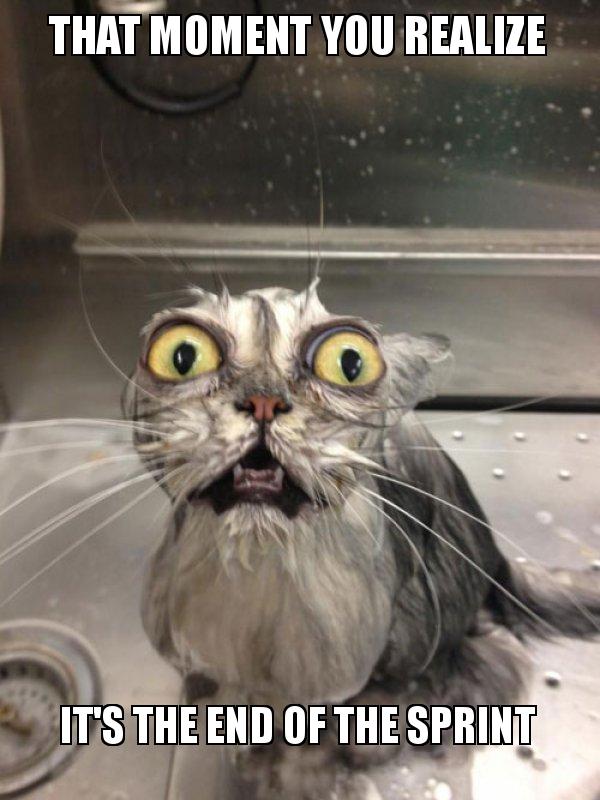 that-moment-you-594c30.jpg that-moment-you-594c30.jpg