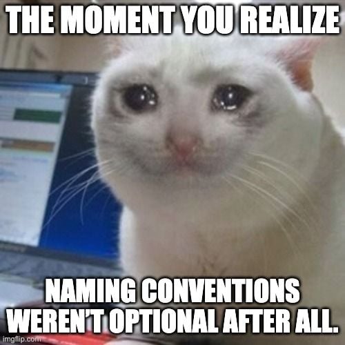 katze meme meme.jpeg katze meme meme.jpeg