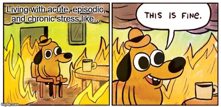 this is fine.jpg this is fine.jpg