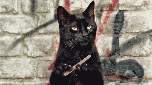 Black Cat GIF.gif Black Cat GIF.gif