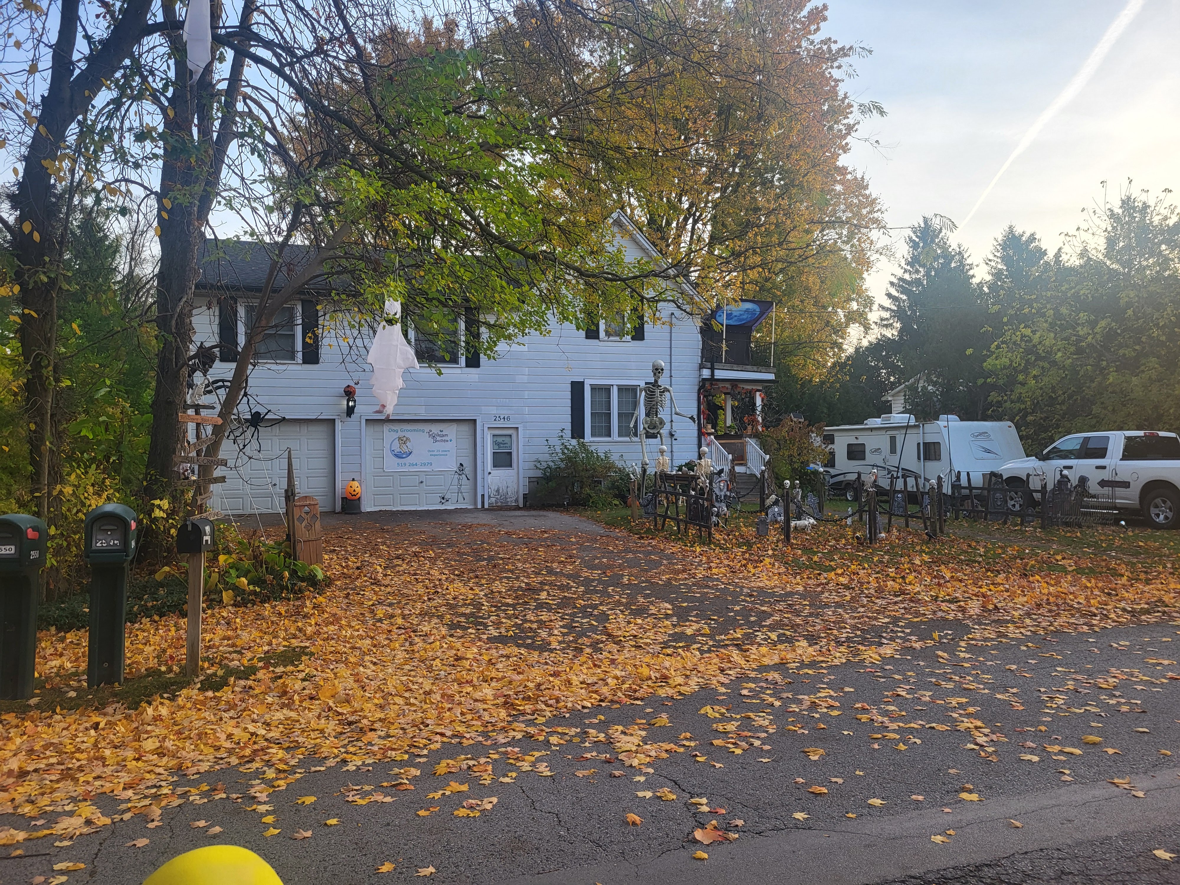 20241030_083332.jpg 20241030_083332.jpg
