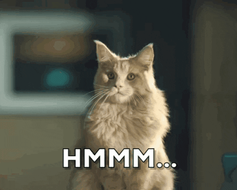 Cat GIF by KPN.gif Cat GIF by KPN.gif