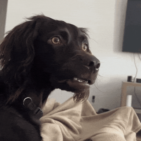 unnamed (1).gif unnamed (1).gif