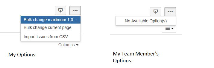 JIRAOptions.png JIRAOptions.png