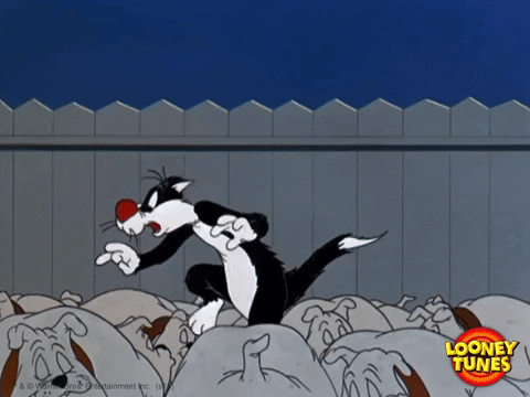 GIF 3.gif GIF 3.gif