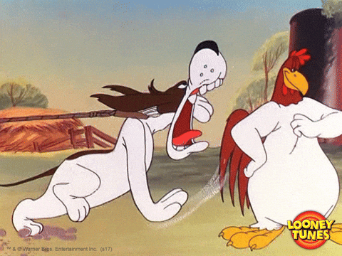 GIF 6.gif GIF 6.gif