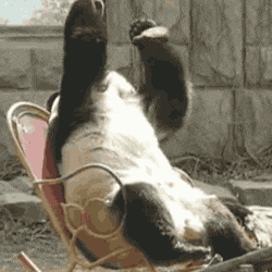 Oh No Reaction GIF.gif Oh No Reaction GIF.gif