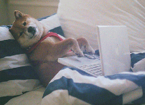 Dog Hacking GIF.gif Dog Hacking GIF.gif