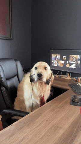 GIF-1.gif GIF-1.gif