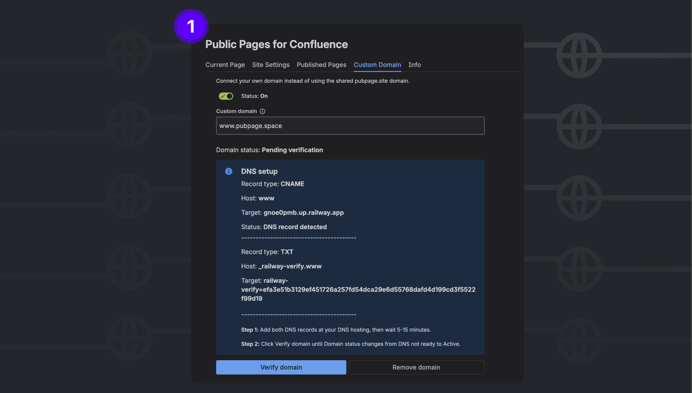 Custom Domain for Confluence DNS.png Custom Domain for Confluence DNS.png