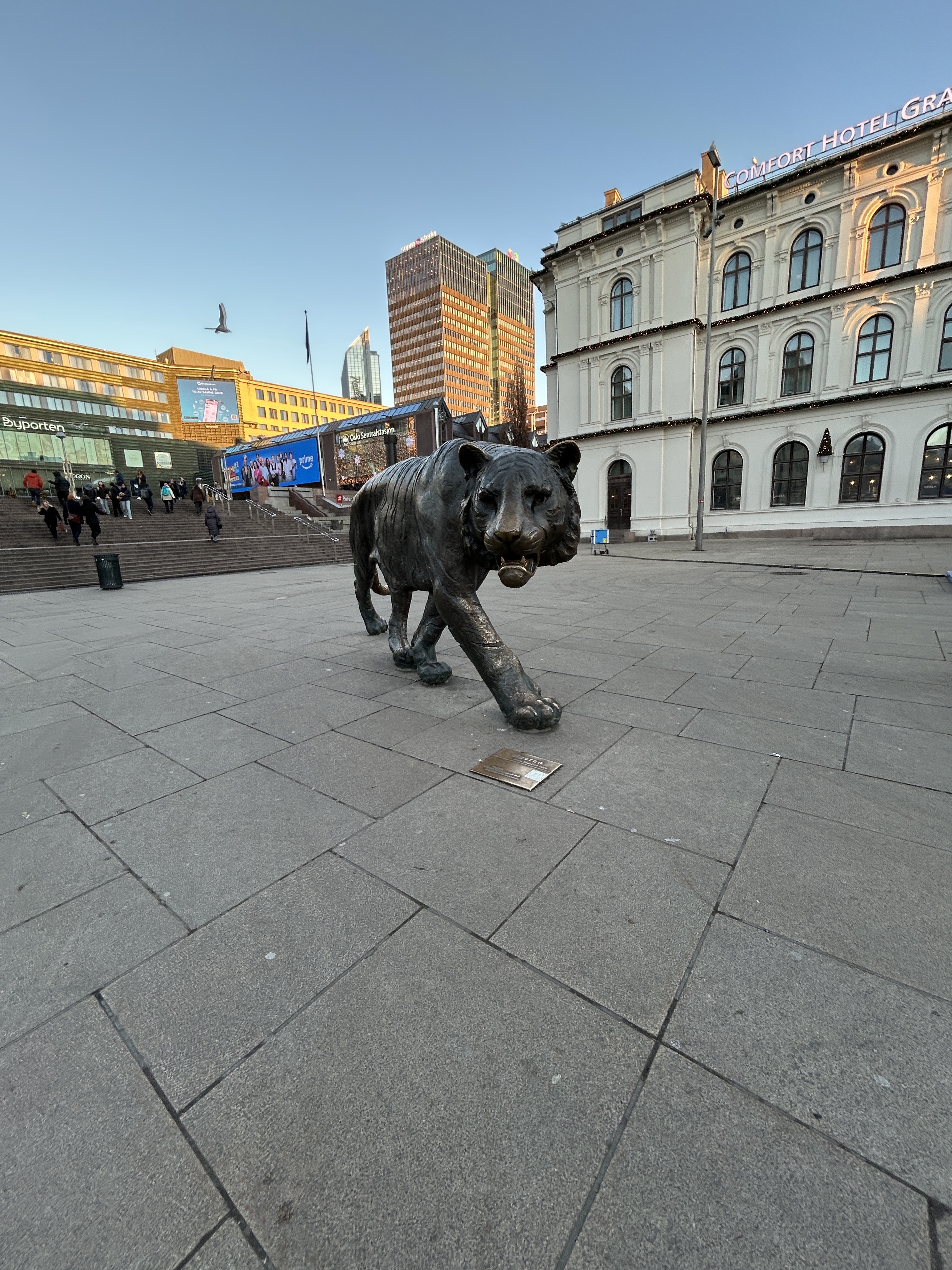 2025-05-20.jpg 2025-05-20.jpg