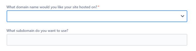 2 custom fields.JPG 2 custom fields.JPG