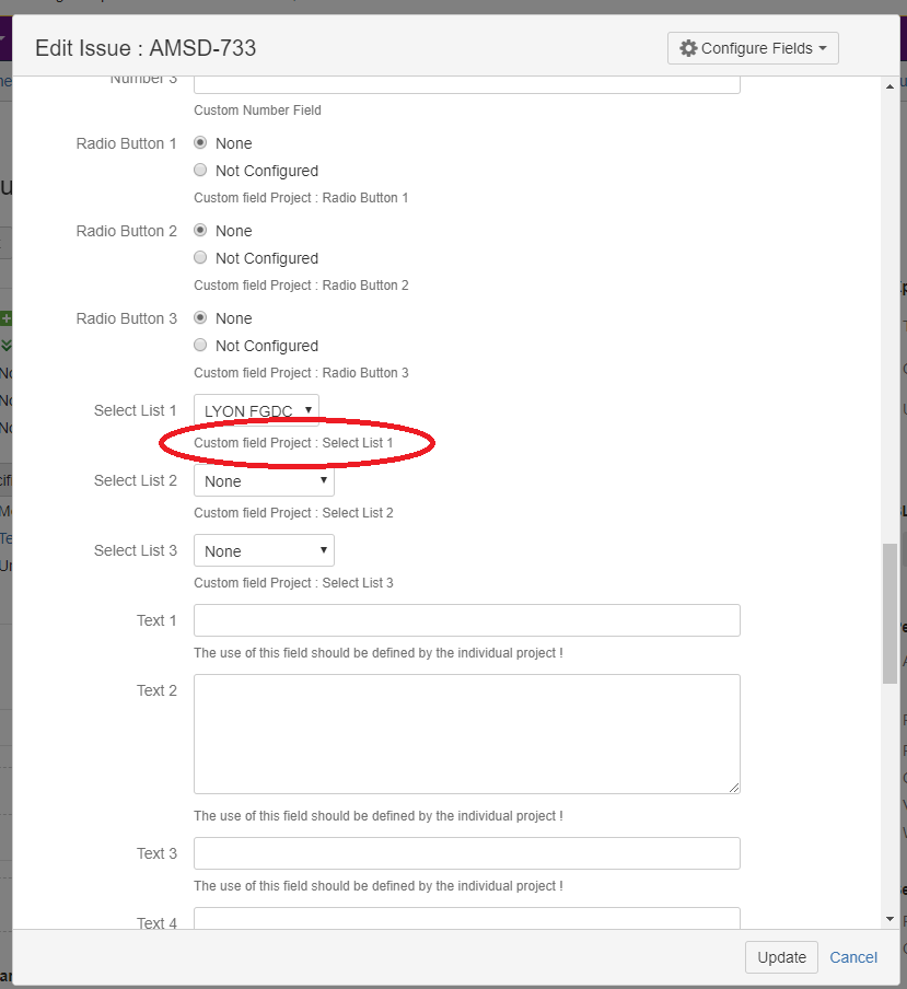 customfield description.png customfield description.png