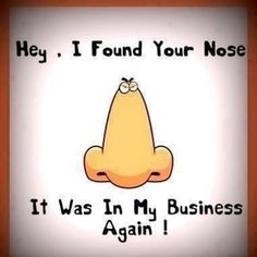 nosy.jpg nosy.jpg