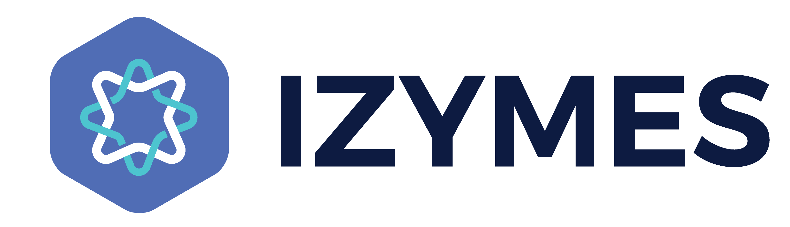 izymes and logo in line.png izymes and logo in line.png