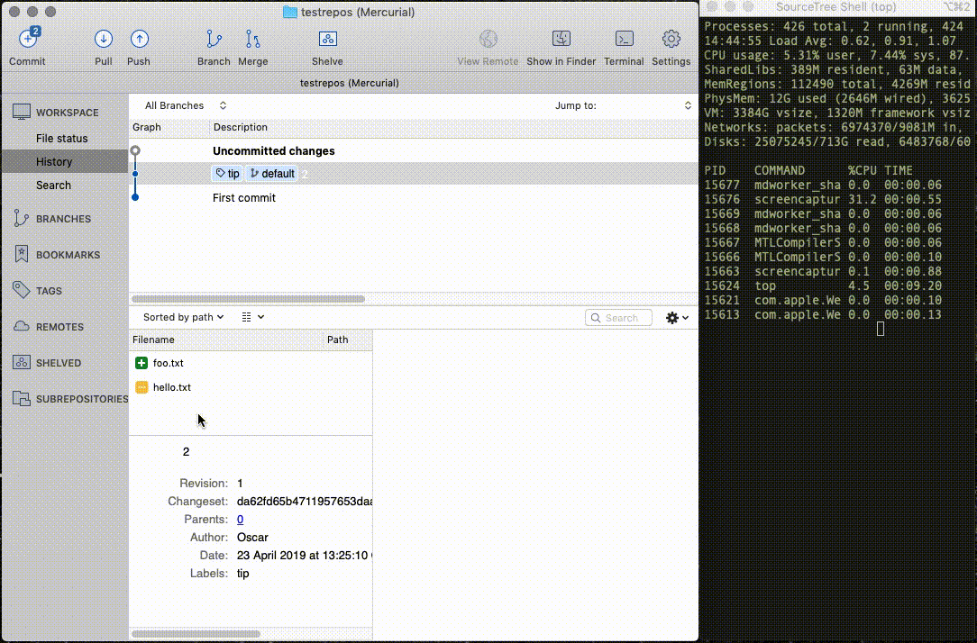 Sourcetree_3.1.2_Mercurial_browse_slow.gif Sourcetree_3.1.2_Mercurial_browse_slow.gif
