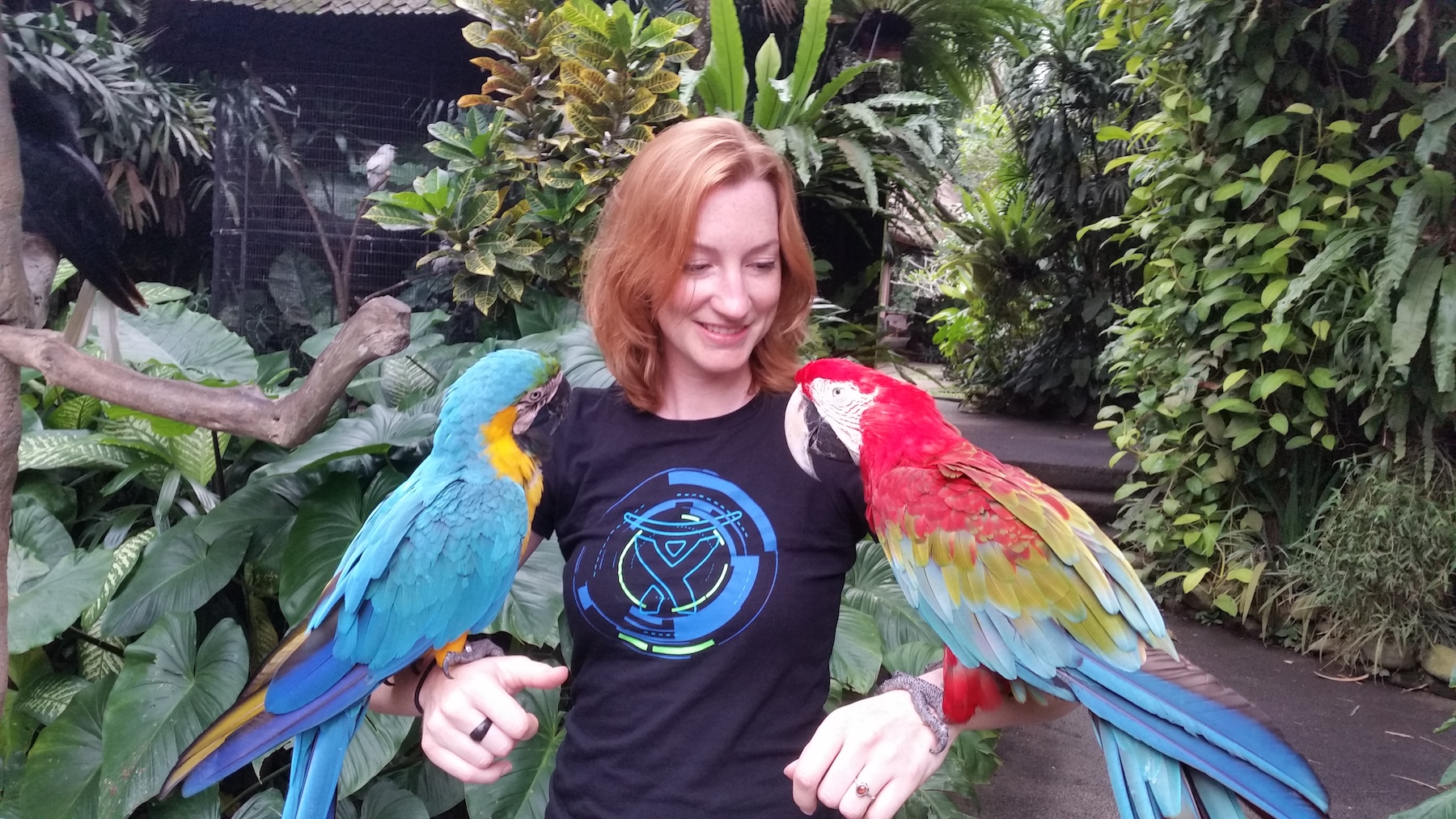 20170805_044955.jpg 20170805_044955.jpg