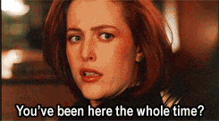 x-files-red-and-black-mulder-there-whole-time.gif x-files-red-and-black-mulder-there-whole-time.gif