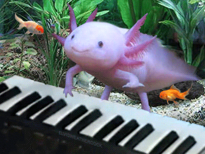 giphy.gif giphy.gif
