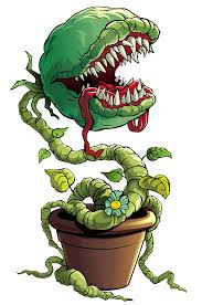 plant.jpeg plant.jpeg