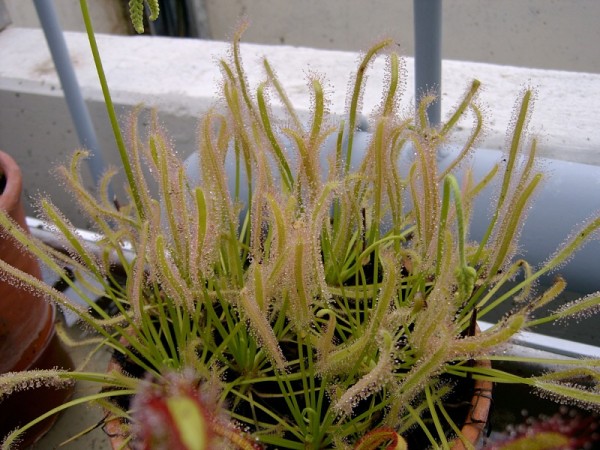 img00029.jpg img00029.jpg