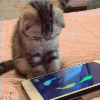 app.gif app.gif