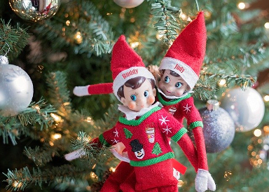elf-on-a-shelf.jpg elf-on-a-shelf.jpg